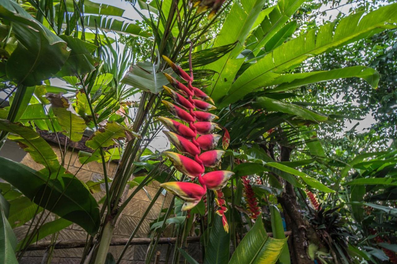 Tegar Guest House Ubud Exterior foto